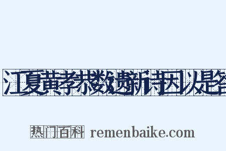 江夏黄孝恭数遗新诗因以是答是什么意思的图片